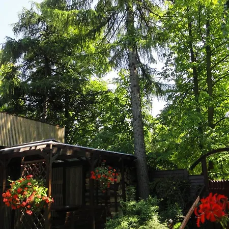 B&B Zosienka